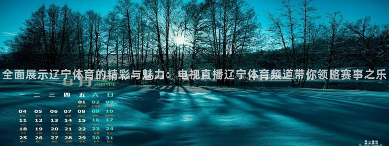 小九直播间足球直播：全面展示辽宁体育的精彩与魅力：电视直播辽宁体育频道带你领略赛事之乐