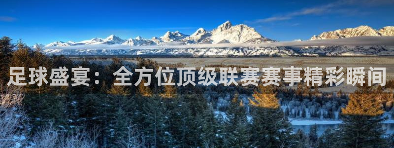 小九直播体育免费观看：足球盛宴：全方位顶级联赛赛事精彩瞬间