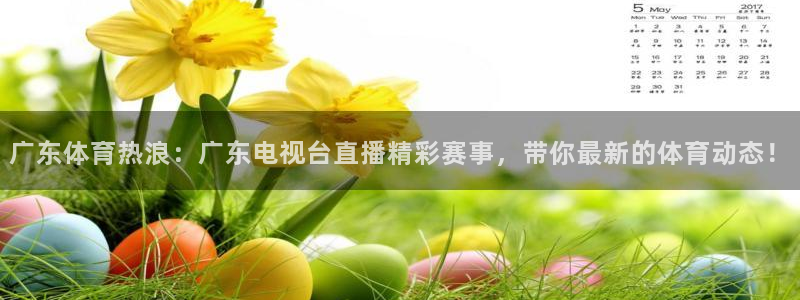 小九直播nba免费观看下载：广东体育热浪：广东电视台直播精彩赛事，带你最新的体育动态！
