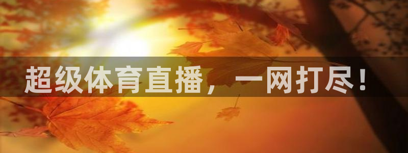 小九直播体育：超级体育直播，一网打尽！