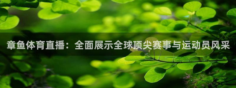 nba小九直播在线观看：章鱼体育直播：全面展示全球顶尖赛事与运动员风采