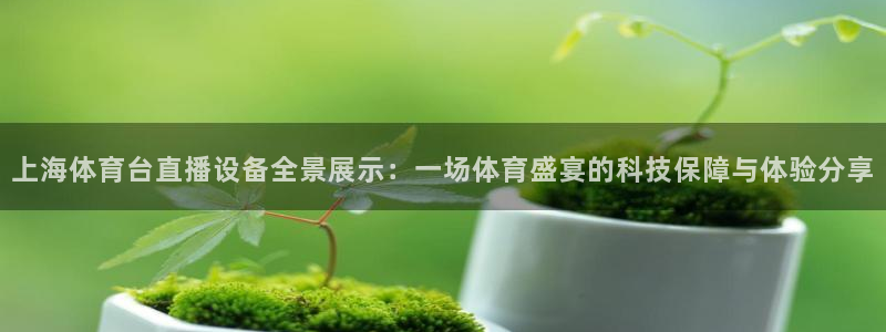 小九直播体育