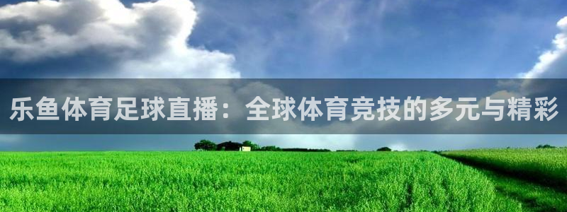 小九直播体育