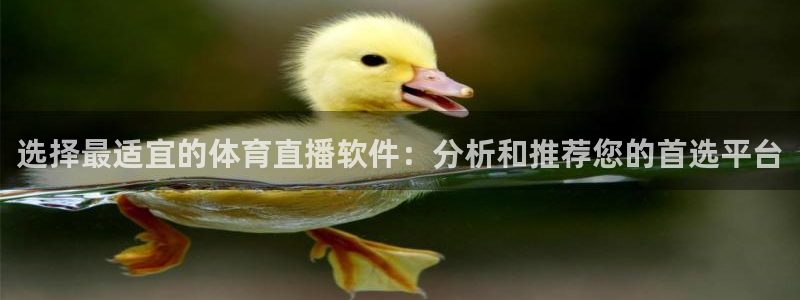 nba小九直播免费观看：选择最适宜的体育直播软件：分析和推荐您的首选平台